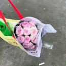 우리공판장 | 양재꽃시장 양재동화훼공판장 토요일 오전에 다녀온 후기