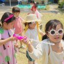 더 플로우 유치원 이미지