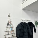 맨션531 이미지