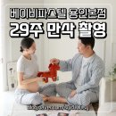 내 마음에 파스텔 | 내돈내산 베이비 파스텔 용인 본점 만삭 촬영 후기 / 분당제일여성병원 연계