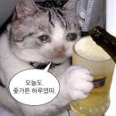 고반식당 파주야당점 이미지