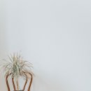 삼영메디칼 이미지