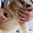 한마음 동물병원 이미지