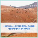 창선농업협동조합
