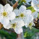 동민목장 이미지