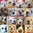 미미까까 | 코카들의 연말파티 in 헬로우버디 판교밸리점 메리크리스마스 🎄