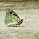 다정한오후 이미지