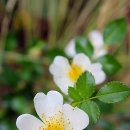 팔공산왕건길 3코스 이미지