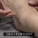 곤륜한의원 이미지