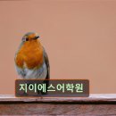 대치1-108 | 강남 대치동 대치 영어학원 어학원 지이에스어학원 지이에스어학원, 맞춤 지도 제공