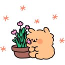 삼호 철새마을 게스트하우스 이미지