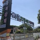 구암동425 | 맛집이야기// 대전 구암동 하동 만두샤브