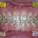 뉴욕치과 이미지