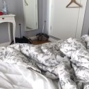 라그로타 이미지