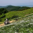 청옥산전망대 네이버블로그