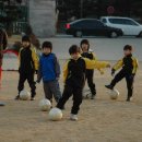 2008 . 1 . 5 배종필 축구교실 이미지