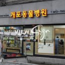 개포동물병원 이미지
