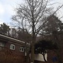 크래모드 이미지