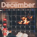 오가닉피티 이미지