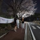 노방(안노방) 이미지