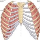 강남피티 이미지