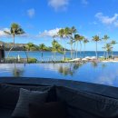 지씨아이 이노스베이수영장 | [여행] 하와이 호놀룰루 | 터틀 베이 리조트 (Turtle Bay Resort) 🐢