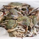 와뜨래요 이미지