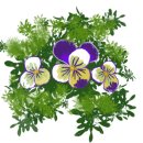 카페 개여울 이미지