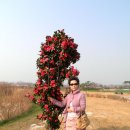 벌교생태공원 이미지