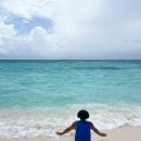 파라다이스 이미지