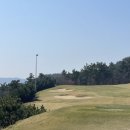 (주)서해그린 | 충남 태안 골든베이cc 1박2일 라운딩 후기/ 봄철 주꾸미 샤브샤브도 맛보고~