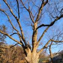 대웅부분정비 이미지