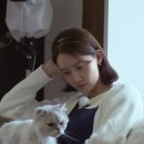 고양이민박 이미지