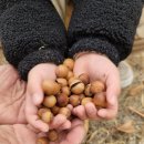 토실토실 2농장 이미지