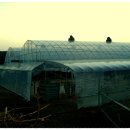 아버지농장 이미지