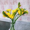 오미주유소 | 3월 18일에 쓰는 여러 사진 &amp; 잡담