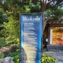 떠도는섬들 | 제주도 여름여행 5박6일 제주민속촌 야간개장 빛의섬 루미버스 스페셜 프라임 퍼레이드카 내돈내산 솔직...