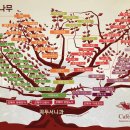 커피트리(coffee tree) - 양주시 | 커피트리(coffee tree)