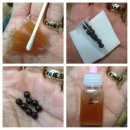 오월애한의원 이미지