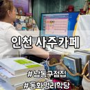 인천의 깃대종 이야기 | 인천사주ㅣ처음이라면 편하게 상담 가능한 남동구 동화명리학당