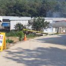 파주양돈단지(2) 매일경제