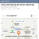 노메럴 네이버블로그