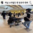 스타펫 | 하남 스타필드 강아지 펫 유모차 개모차 대여 후기