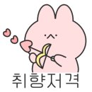 K 하이스텔 이미지