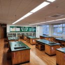 인지초등학교 이미지