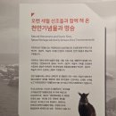 제주 삼도파초일엽 자생지 | [국내 유일의 자연유산 전문 전시관] 대전 천연기념물 센터Natural Heritage Center 1