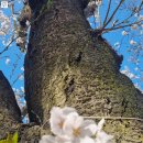 가제산 정상 이미지