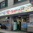 메밀꽃돼지 이미지