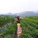 두학농장 이미지