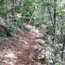 남한강자전거길 17 이미지